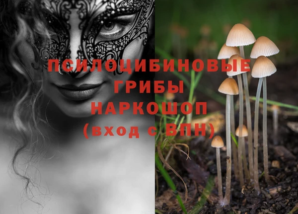 mix Осташков